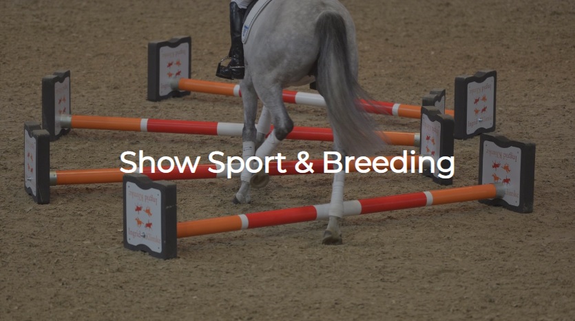 EQ23-Sport-Breeding